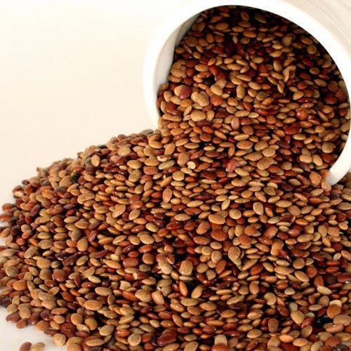 Brown Organic Horse Gram Beans, For Cooking, Grade Standard : Food Grade