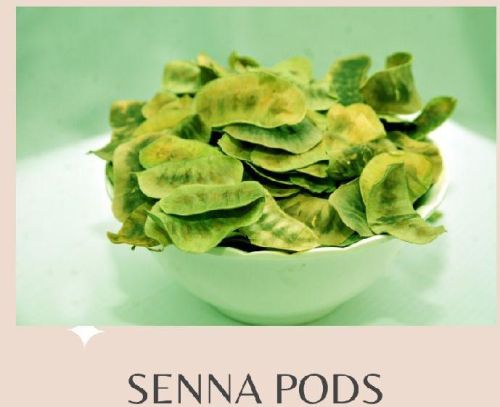 Green Senna Pods, For Healthcare Products, Shelf Life : 36 Months