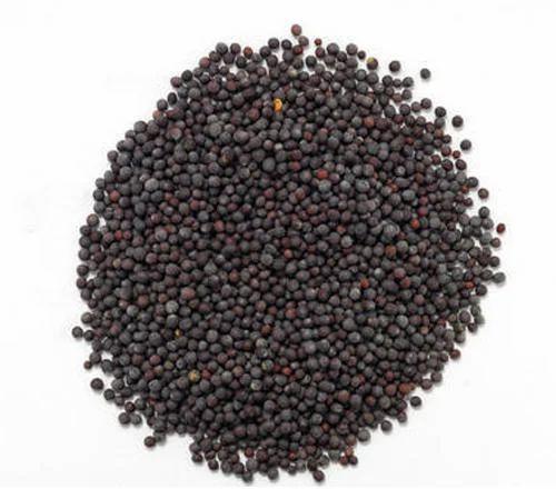 Brown Organic Mustard Seeds, For Cooking, Certification : FSSAI Certified