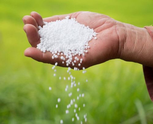 Urea Fertilizer, Type:Granular and Prilled