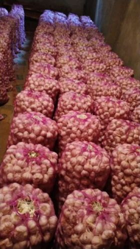 Medium Garva Onion, For Human Consumption, Packaging Size : 20kg