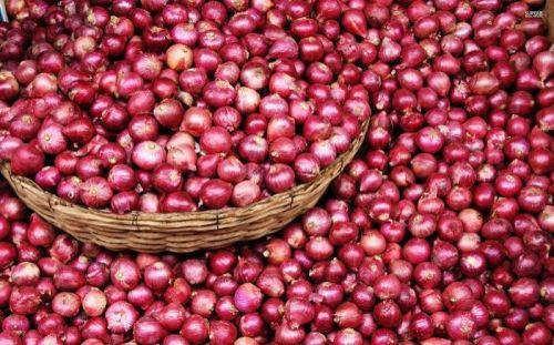 Red Round Organic Fresh Small Onion