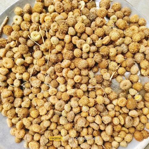 Akarkara Seeds, Packaging Size:2kg
