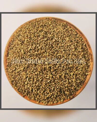 Natural CAROM SEEDS, Packaging Size : 50 Kg
