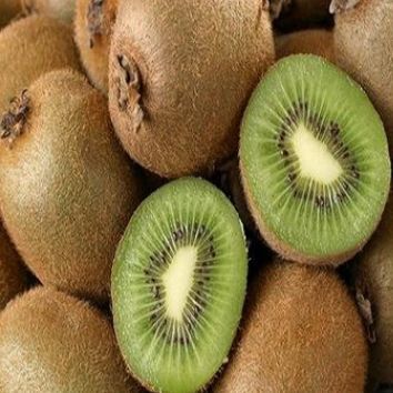 Organic Fresh Kiwi, For Human Consumption, Color : Green