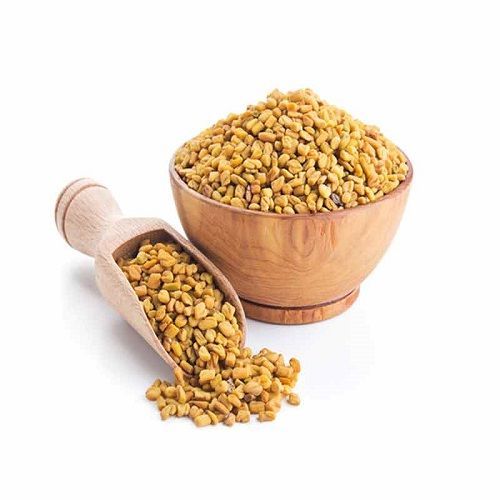 Common Fenugreek Seeds, For Food Medicine, Spices, Form : Granules