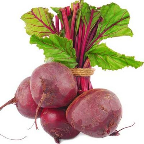 Common Fresh Beetroot, For Salad, Feature : Healthy