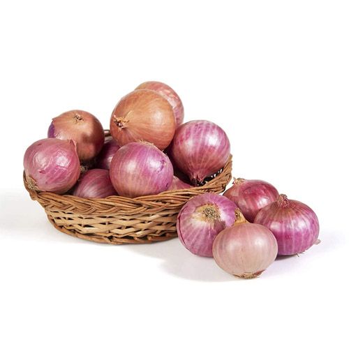 Common Fresh Onion, For Cooking