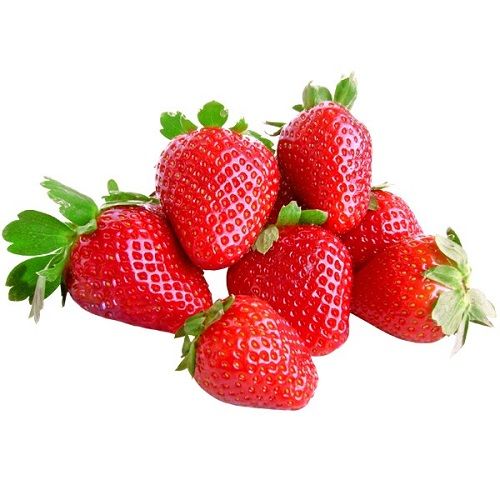 Common Fresho Strawberry, Feature : Good For Health, Good For Nutritions