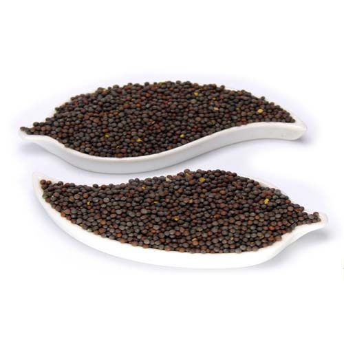 Common Mustard Seeds, For Food Medicine, Spices, Specialities : Good For Health, Good Quality, Hygenic