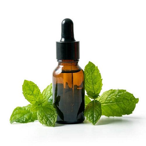 Peppermint Oil, Feature : Relieve Back Pain, Mental Fatigue