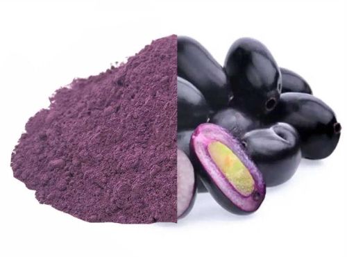 Brownish Common Jamun Powder, For Health Benefits, Purity : 99.9%