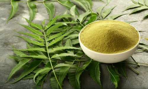 Natural Neem Powder, For Herbal Medicines, Cosmetic Products, Ayurvedic Medicine, Packaging Type : Plastic Pouch