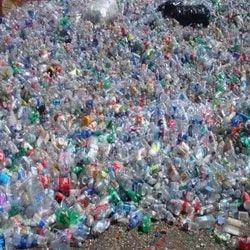 Used Plastic Fridge Bottle Scrap, For Industrial, Style : Crushed, Hot Washed