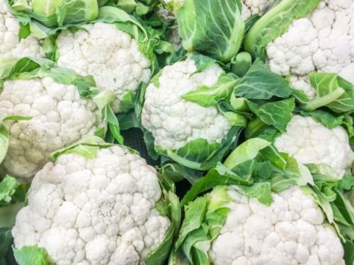 Common Fresh Cauliflower, For Cooking, Feature : Nutritious, Non Harmful