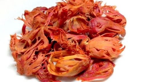 Dry Javitri, Moisture : 10, Purity : 99%