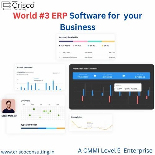 ERP Implementation Service