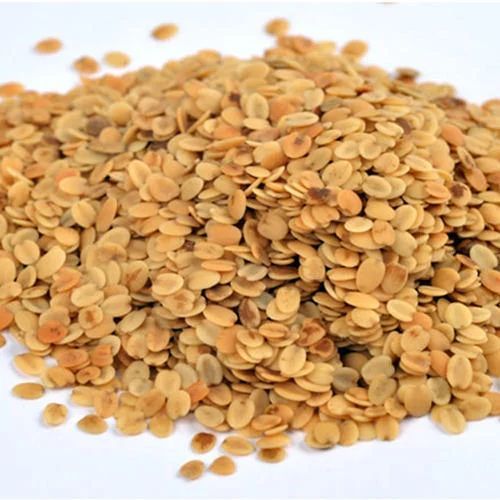 Seeds Organic Dhaniya Dal, For Cooking, Style : Dried