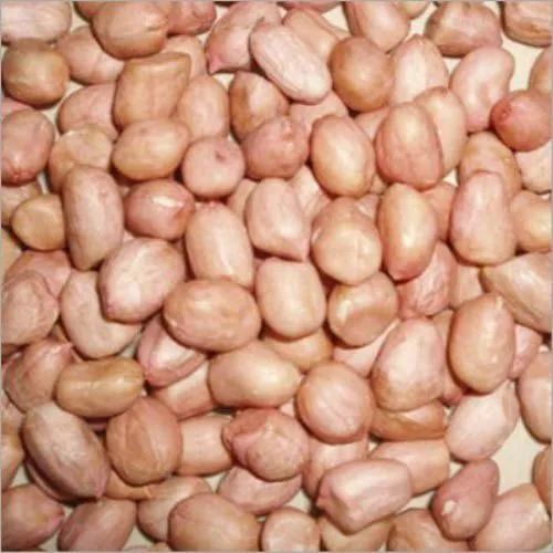 Organic Groundnut Seeds, For Agriculture, Cooking, Food, Purity : 99.9%