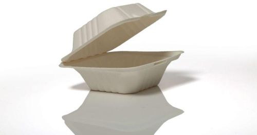 Sugarcane Bagasse Disposable Clamshell Box, For Food Packaging, Shape : Square