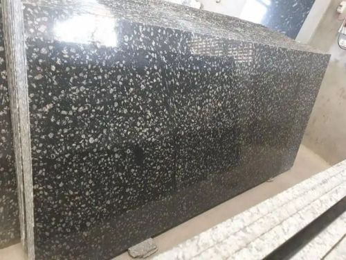 Coin Black Granite Slab, For Steps, Staircases, Kitchen Countertops, Flooring, Specialities : Striking Colours