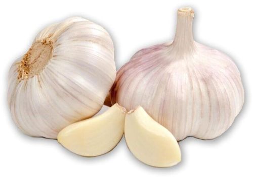 Fresh Garlic, For Snacks, Cooking, Packaging Type : Plastic Bags