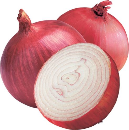 Onion, For Human Consumption, Cooking, Home, Hotels, Packaging Type : Plastic Pouch, Plastic Packet