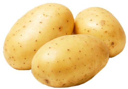 Potato, Packaging Size : 30kg