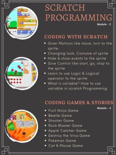 Scratch Programming