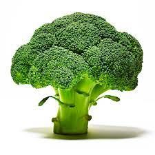 Fresh Broccoli, Packaging Type : Plastic Packet