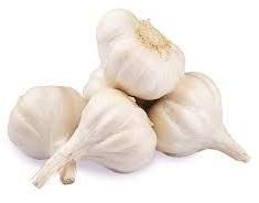 Organic Fresh Garlic, Packaging Type : Carton