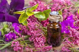 Organic Clary Sage Essential Oil, For Medicines, Cosmetics, Packaging Type : Bottle