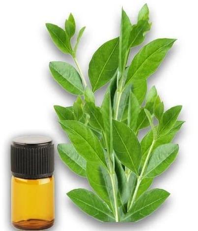 Heena Essential Oil, For Anti Dandruff, Hare Care, Feature : Hair Color-protection, Nourishing