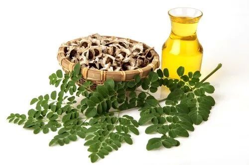 Moringa Essential Oil, For Cosmetic, Packaging Size : 10ml-1Ltr