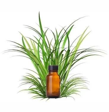 Vetiver Essential Oil, For Perfumery, Fine Cosmetics, Aromatherapy, Purity : 100% Natural