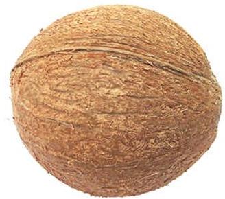 Organic Fully Husked Coconut, Style : Fresh