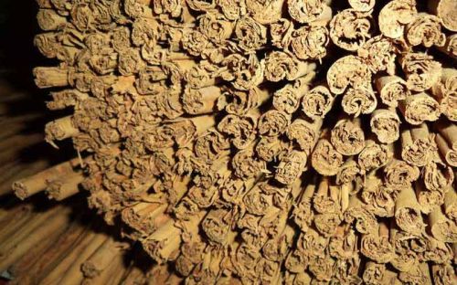 Organic cinnamon sticks Food Grade, Packaging Type : Brown