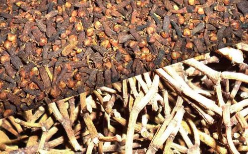 Raw Organic Clove Buds, Grade Standard : Food Grade for Cooking