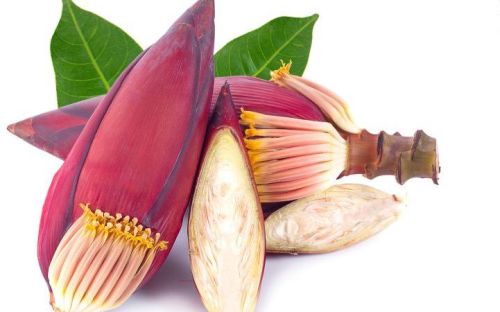 Organic Fresh Banana Blossom Flower, Packaging Type : Red