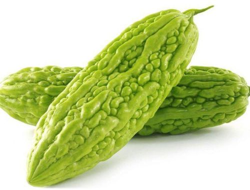 Organic fresh bitter gourd, Packaging Type : Green