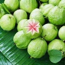 Natural fresh guava, Shape : Round, Packaging Type : Green