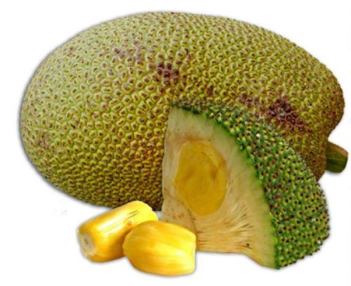 Fresh Jackfruit, Packaging Type : Green