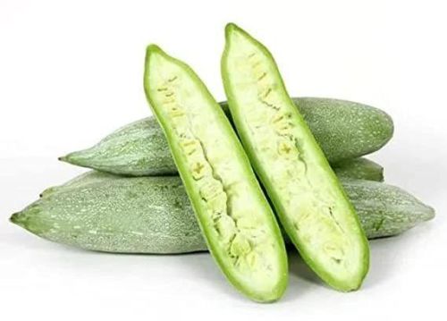 Fresh Snake Gourd