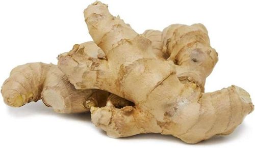 Natural Fresh Ginger, For Cooking, Color : Light Brown