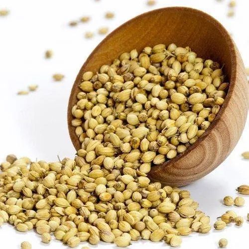 Raw Organic Coriander Seeds, For Spices, Cooking, Packaging Type : Plastic Packet