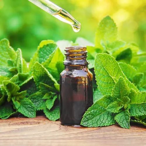 Peppermint Essential Oil, For Stomach Issue, Infections, Fever, Form : Liquid