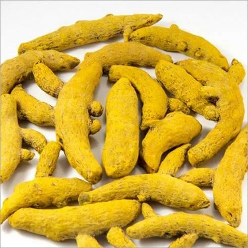 Dark Yellow Turmeric Finger, For Spices, Certification : FSSAI Certified