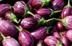 Organic Fresh Brinjal, For Cooking, Packaging Size : 20 Kg