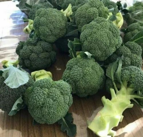 Green Natural Fresh Broccoli, For Cooking, Feature : Healthy To Eat, Non Harmful