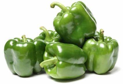 Green Round Fresh Capsicum, For Cooking, Packaging Size : 20 Kg